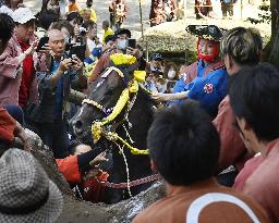 Annual wall-climbing event at Mie shrine