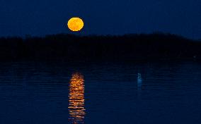 CANADA-TORONTO-FULL MOON