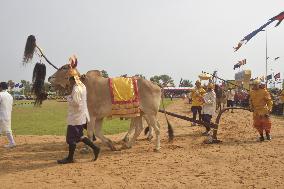 CAMBODIA-KAMPONG THOM-ROYAL PLOUGHING CEREMONY