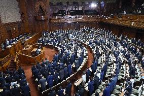 Japan lower house passes revision of immigration law