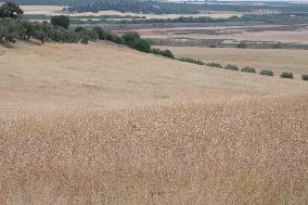 SPAIN-MALAGA-HEAT-DROUGHT