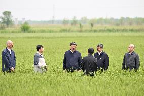 CHINA-HEBEI-CANGZHOU-XI JINPING-INSPECTION (CN)