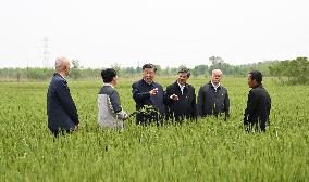 CHINA-HEBEI-CANGZHOU-XI JINPING-INSPECTION (CN)