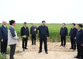 CHINA-HEBEI-CANGZHOU-XI JINPING-INSPECTION (CN)