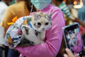 Pet Expo Thailand 2023