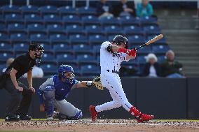 Hartford Yard Goats Vs. Binghamton Rumble Ponies