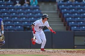 Hartford Yard Goats Vs. Binghamton Rumble Ponies