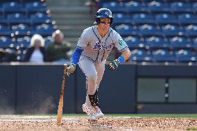 Hartford Yard Goats Vs. Binghamton Rumble Ponies