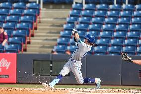 Hartford Yard Goats Vs. Binghamton Rumble Ponies