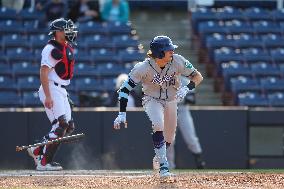 Hartford Yard Goats Vs. Binghamton Rumble Ponies