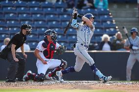 Hartford Yard Goats Vs. Binghamton Rumble Ponies