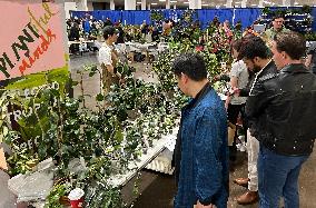 Plant Expo In Mississauga