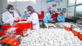 China Agricultural Manufacturing Industry
