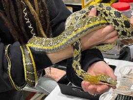Exotic Reptile Breeders Expo In Canada