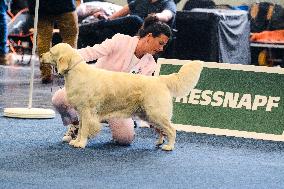 ''Dogs & Fun '' Fair In Dortmund