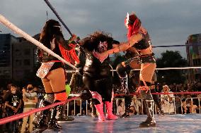Women's Wrestling Show As Part Of Mother's Day