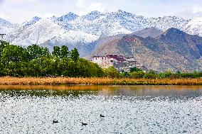 CHINA-TIBET-LHASA-SCENERY (CN)