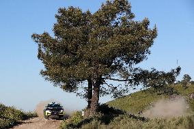 WRC Vodafone Rally Portugal 2023 - Day Three