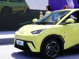 New Energy Vehicles Popular In China