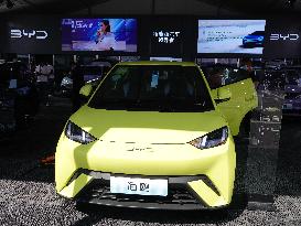 New Energy Vehicles Popular In China