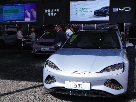 New Energy Vehicles Popular In China