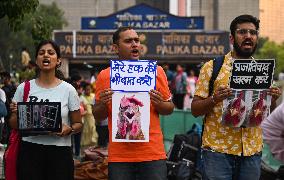 Animals Rights Activists Protest In New Delhi, India