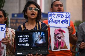 Animals Rights Activists Protest In New Delhi, India