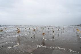 Heavy Rainfall In Casena - Italy