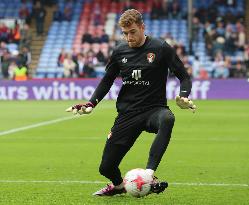 Crystal Palace v Bournemouth - English Premier League