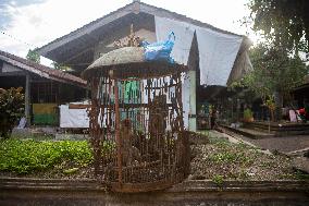 Long-tailed Macaques In Indonesia