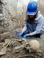 Archaeologists Discover 2 New Skeletons At Pompeii