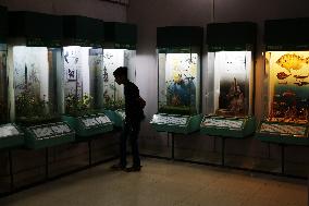 PAKISTAN-ISLAMABAD-MUSEUM OF NATURAL HISTORY