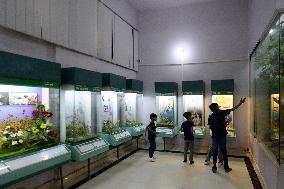 PAKISTAN-ISLAMABAD-MUSEUM OF NATURAL HISTORY