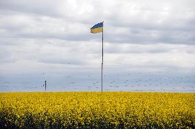 A Local Resident Plants Plants Next To A Destroyed Russian Tank, The Remains Of Which Lie In His Garden