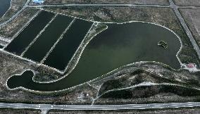 Environmental Improvement in China