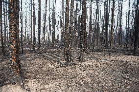 Alberta Fires Aftermath - Canada