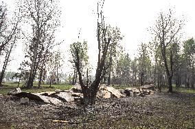 Alberta Fires Aftermath - Canada