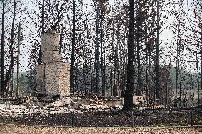 Alberta Fires Aftermath - Canada