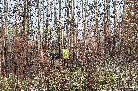 Alberta Fires Aftermath - Canada