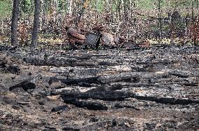 Alberta Fires Aftermath - Canada