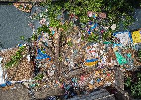 THE PHILIPPINES-MANILA-TREE-COLLAPSE