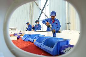 China Manufacturing Industry