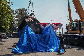 Dead Whale Stranded In Indonesia