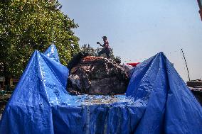 Dead Whale Stranded In Indonesia