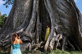 Living The Island Life In Bali, Indonesia