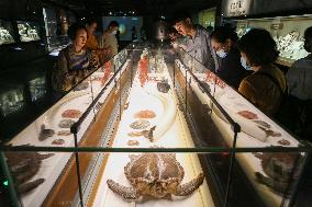 CHINA-SHANGHAI-NATURAL HISTORY MUSEUM (CN)