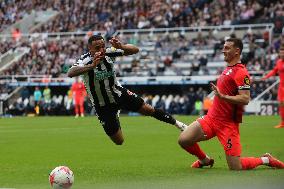 Newcastle United v Brighton & Hove Albion - Premier League