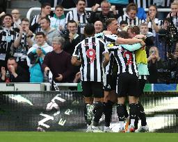 Newcastle United v Brighton & Hove Albion - Premier League