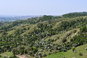 CHINA-XINJIANG-ILI-FLOWERS-TOURISM (CN)