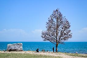 CHINA-QINGHAI-QINGHAI LAKE-SCENERY (CN)